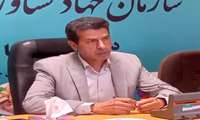 بهره برداری از ۱۲۷ طرح کشاورزی و ‌دامداری در استان کرمان در هفته جهاد کشاورزی